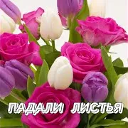 Сергей Грищук