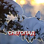 Сергей Грищук